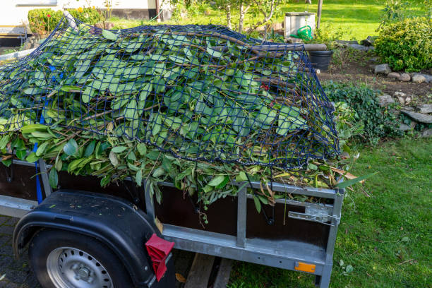 Trusted Glennville, GA Junk Removal Services Experts